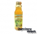 Syrop Agrest BIO 750ml Kamionna