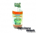 Syrop Agrest BIO 330ml Kamionna